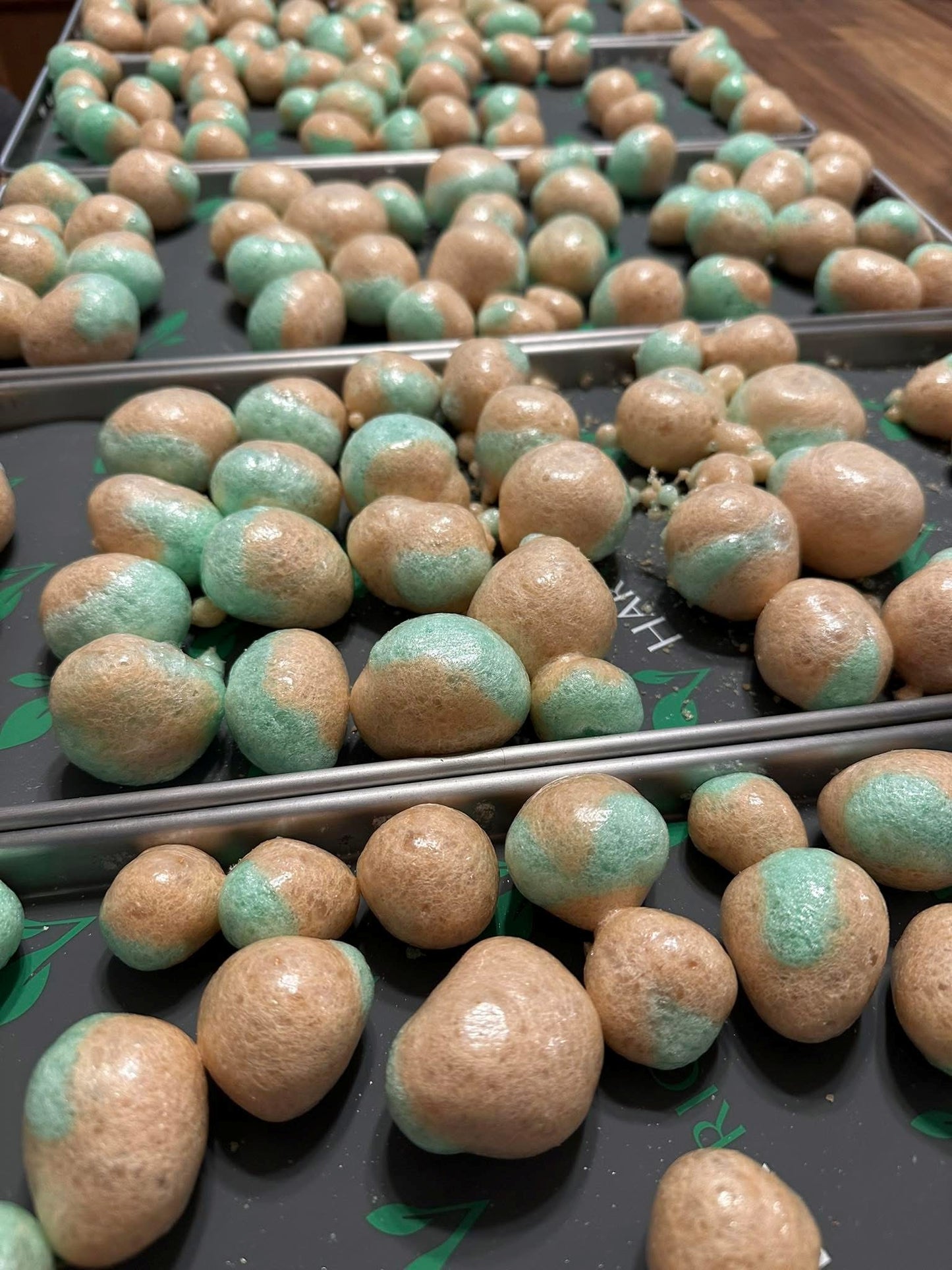 Freeze-dried Taffy - Taffy Town®